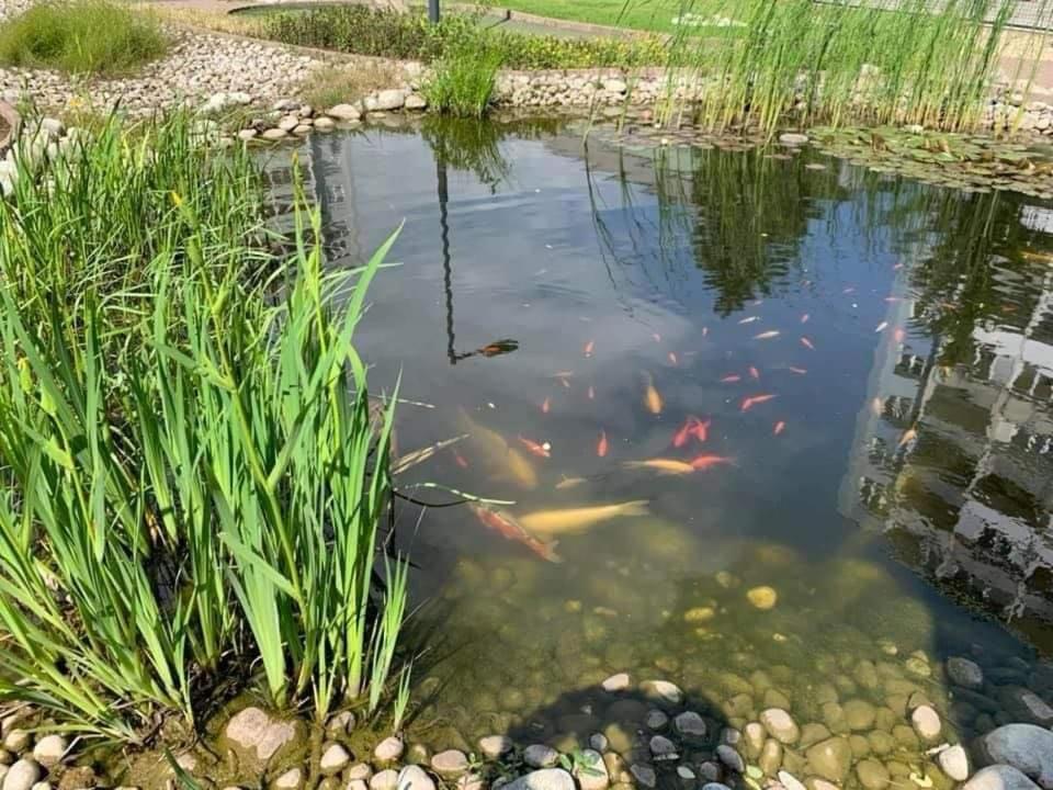 Penzion Set Košice Esterno foto